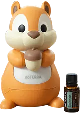 Diffuseur Ecureuil + huile